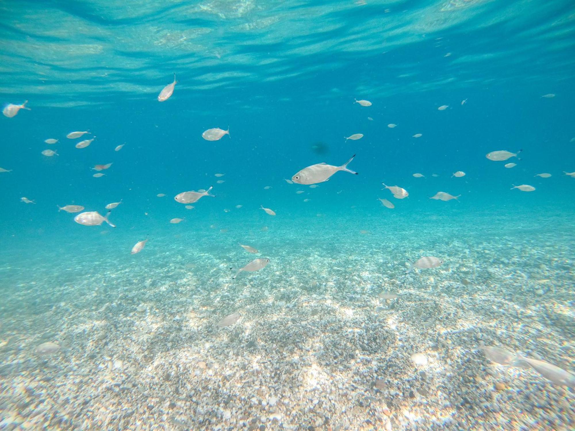 Complejo Turistico Bayiyos * Agua Amarga (Almeria)